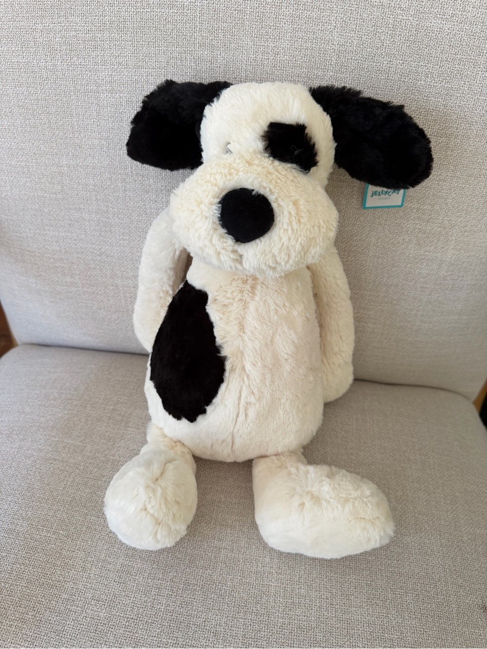 Bashful Dog Jellycat
